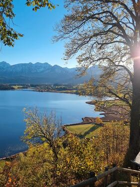Foto - Untermiete-WG 2 Zimmer innerhalb Haus in Hopfen am See