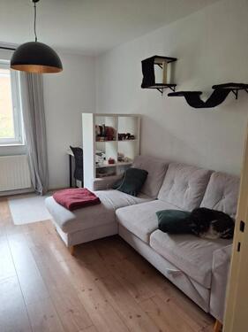 Foto - 3 Room Fully Furnished Apartment, All Inclusive!