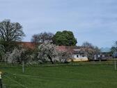 Foto - andere in Bad Waldsee