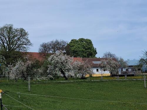 Foto - andere in Bad Waldsee