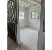Lagerboxen Storage Lagerraum Lagerplatz zu vermieten! - Westhausen