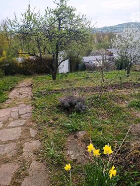 Foto - schöner Pachtgarten mit Prachthütte abzugeben