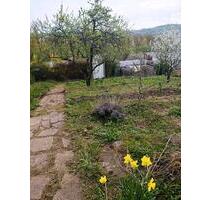 schöner Pachtgarten mit Prachthütte abzugeben - Eisenach