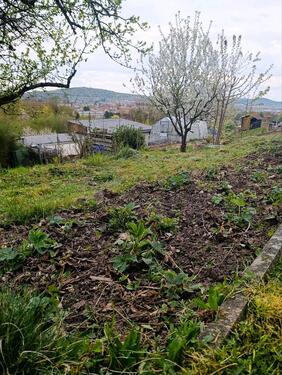 Foto - Grundst&uuml;ck zur Miete in Eisenach