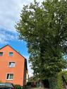 Foto - Etagenwohnung zur Miete in Burgwedel