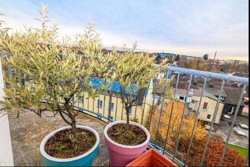 Foto - 1 Zimmer Apartment - 240,00&nbsp;EUR Kaltmiete, ca.&nbsp; 34,00&nbsp;m&sup2;