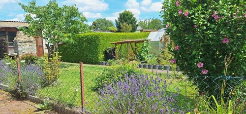 Foto - Gartenlaube auf Pachtland in Elbeu zu vergeben