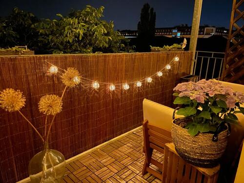 Foto - 2 Zimmer Etagenwohnung in Dresden