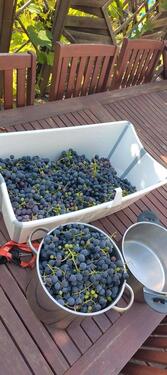 Foto - Grundst&uuml;ck in Hildesheim