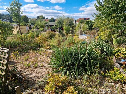 Foto - Grundst&uuml;ck in Hildesheim zur Miete