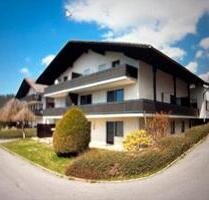 2-Zimmer Wohnung in Bodenmais - 350,00&nbsp;EUR Kaltmiete, ca.&nbsp; 48,00&nbsp;m&sup2; in Bodenmais (PLZ: 94249)