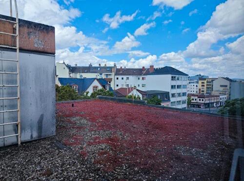 Foto - Etagenwohnung in Mainz zur Miete