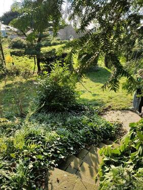 Foto - 6 Zimmer Einfamilienhaus zur Miete in Rees