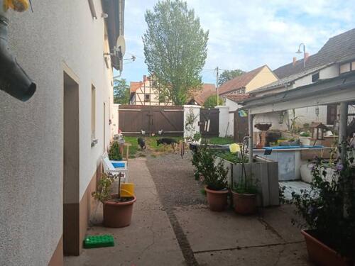 Foto - Einfamilienhaus zum Kaufen in Berga/Elster