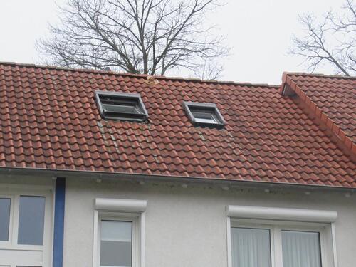 Foto - Bad Zwischenahn - 2 Zimmer Küche Bad Wohnung im Erdgeschoss