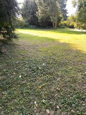 Foto - andere in Heidenau zur Miete
