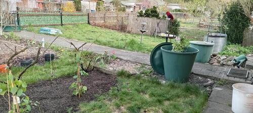 Foto - Kleingarten - 5.000,00 EUR Kaltmiete, ca.  0,00 m²