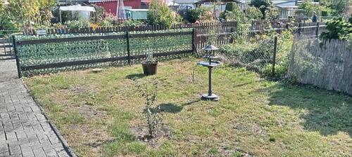 Foto - Grundstück in Senftenberg zur Miete