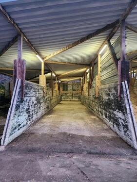 Foto - Überdachte Lager- & Stellfläche - ideal für Fahrzeuge & Paletten