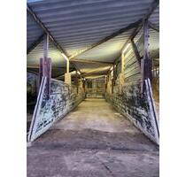 Überdachte Lager- & Stellfläche - ideal für Fahrzeuge & Paletten - Kehl