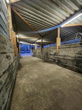 Foto - andere zur Miete in Kehl