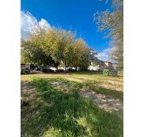 Gewerbefläche 800m2 - 2.000,00 EUR Kaltmiete, in Schönefeld (PLZ: 12529)