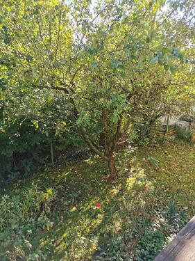 Foto - 3 Zimmer Etagenwohnung in Esslingen am Neckar