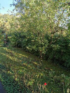 Foto - Etagenwohnung in Esslingen am Neckar zur Miete