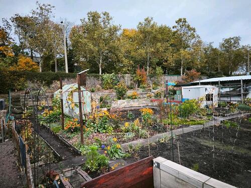 Foto - Kleingarten - 1.000,00&nbsp;EUR Kaltmiete, ca.&nbsp; 0,00&nbsp;m&sup2;