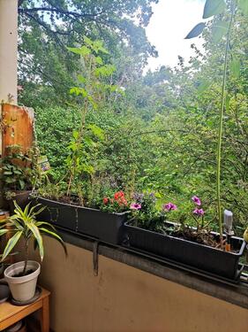 Foto - 2 Zimmer Etagenwohnung in Berlin