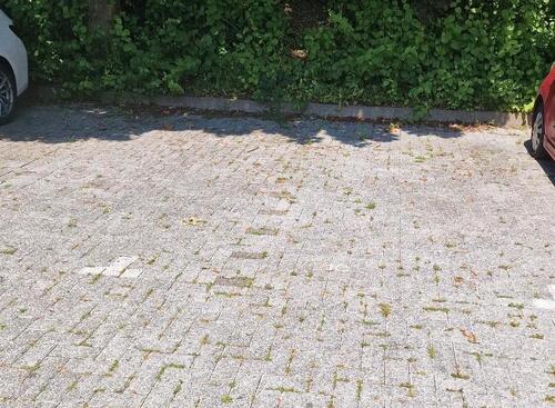 Foto - Parkplatz zu mieten - 30,00 EUR Miete,