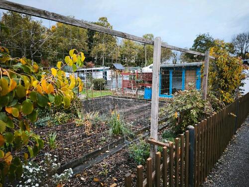 Foto - Grundst&uuml;ck zur Miete in Dresden