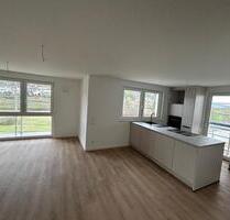 Erstbezug in Kupprichhausen: Moderne, helle 3-Zimmer-Wohnung mit Balkon und Ausblick ins Grüne - Boxberg