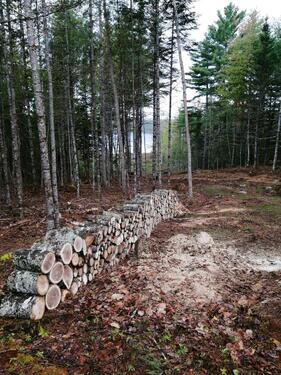 Foto - Einfamilienhaus in Blaustein zum Kaufen