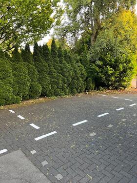 Foto - Stellplatz - 60,00 EUR Miete,