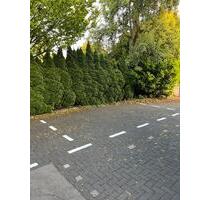 Stellplatz - 60,00 EUR Miete, in Wuppertal (PLZ: 42113) Eckbusch