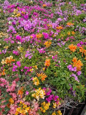 Foto - 2 Zimmer Etagenwohnung zur Miete in Ortenberg