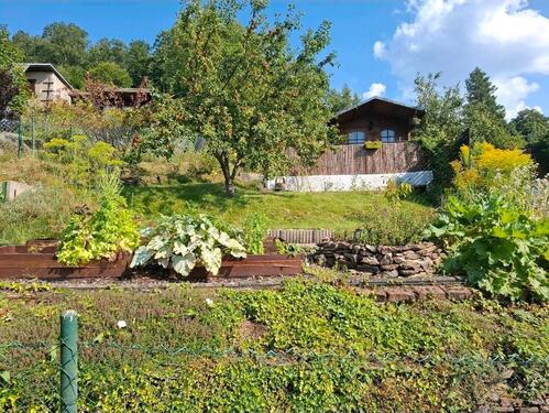 Foto - Bezaubernder kleiner Garten in Aue