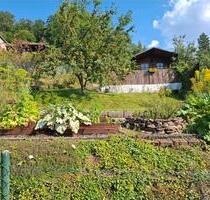 Bezaubernder kleiner Garten in Aue - Aue-Bad Schlema