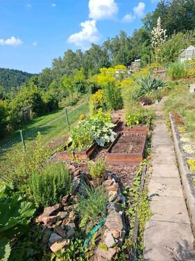 Foto - Grundst&uuml;ck zur Miete in Aue-Bad Schlema
