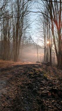 Foto - Einfamilienhaus in Morsbach zum Kaufen
