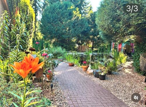 Foto - 3 Zimmer Einfamilienhaus in Wietze