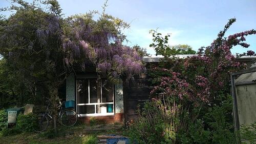 Foto - Kleingarten in Lützschena - 2.500,00&nbsp;EUR Kaltmiete, ca.&nbsp; 0,00&nbsp;m&sup2;