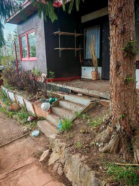 Foto - Grundst&uuml;ck zur Miete in Zwickau