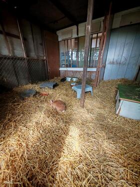 Foto - Grundst&uuml;ck in Zwickau