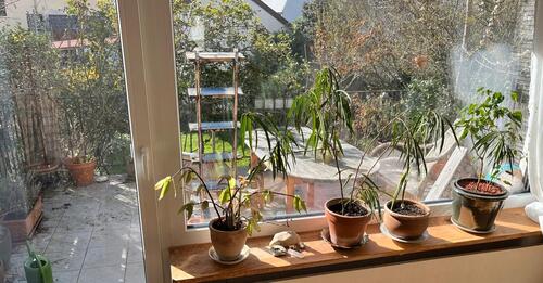 Foto - 2.5 Zimmer Hochparterre zur Miete in Sankt Ingbert