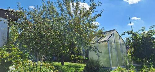 Foto - Grundst&uuml;ck zur Miete in Greifswald