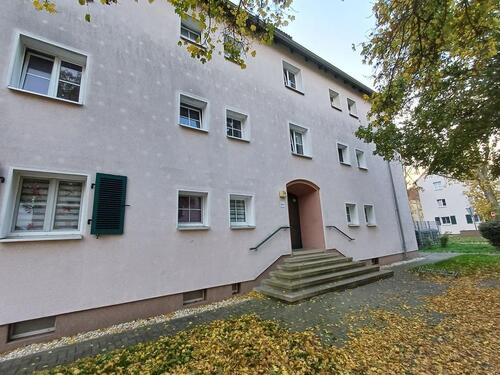 Foto - 2 Zimmer Erdgeschoßwohnung zur Miete in Merseburg