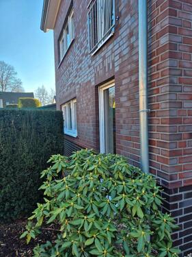 Foto - 3 Zimmer Erdgeschoßwohnung zur Miete in Viersen