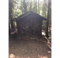 Schmelz 2.827qm Grünland mit Baumbestand - Borken